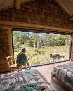 wild-cabins:    Braedin Toth  
