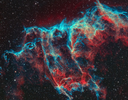 tessladapanda:  Eastern Veil nebula 
