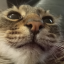 skippinpebbles