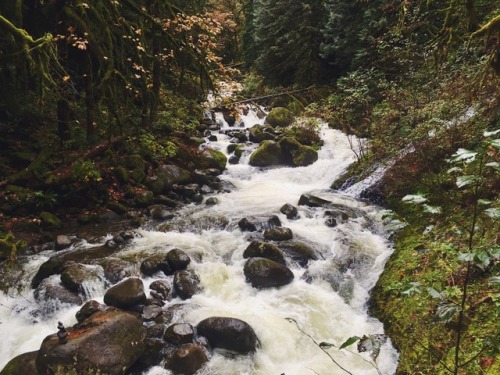 justapplyyourself - Horsetail Creek. Corbett, Oregon (October,...