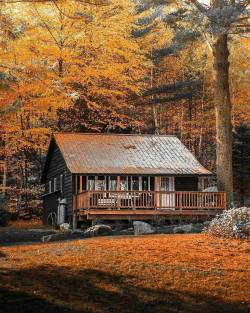 autumncozy:By cabinsinthewoods