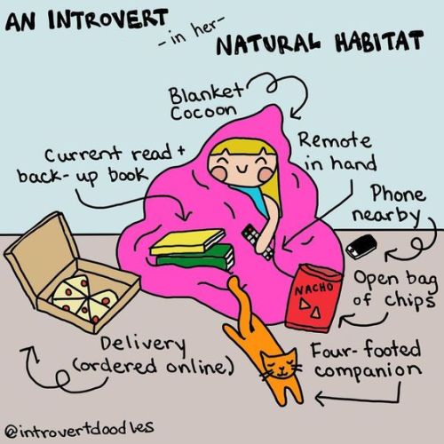 https://lifeunexpurgated.tumblr.com/post/169453231134