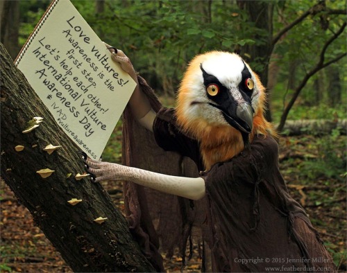 coelasquid:un-doodles:nambroth:Get your vulture on today! I did!For lots more information, ways to h