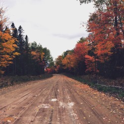 magicalautumn:Autumn in New Brunswick, Canada