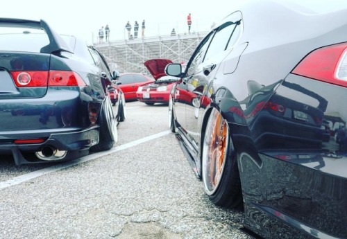 Poke? Or Tuck? Owners: #hondaaccord #honda #accord #acura #tsx #tsxclub #tsxclubofficial #jdm #slammed