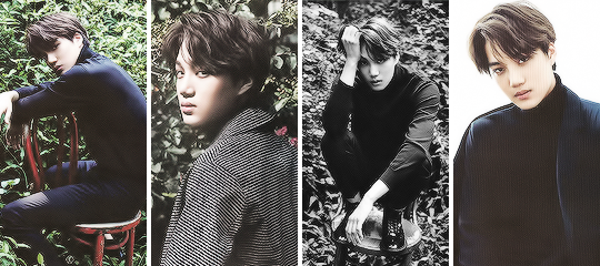 fan-qins:    Season greeting 2016 (compilation Chinese version)   