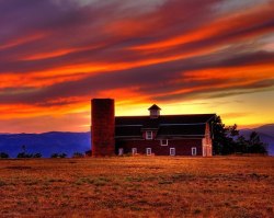 1womanofwonder:  I love barns…when I was little I thought I could be a photographer who just took photos of barns…