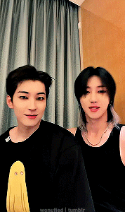 Black Cat Line