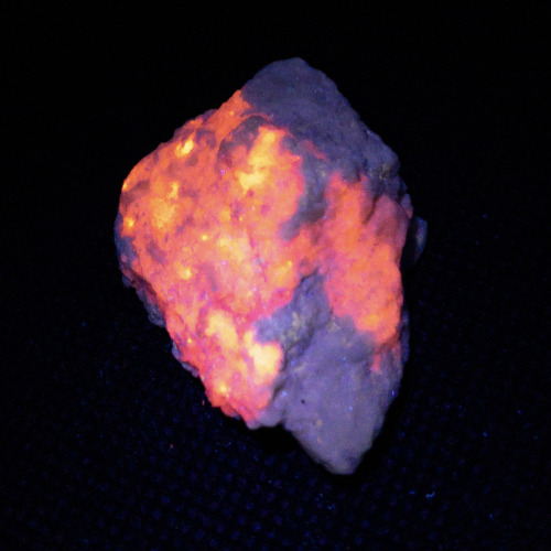 Sodalite var. Hackmanite with Richterite displaying fluorescence and tenebrescenceLocality: Kok