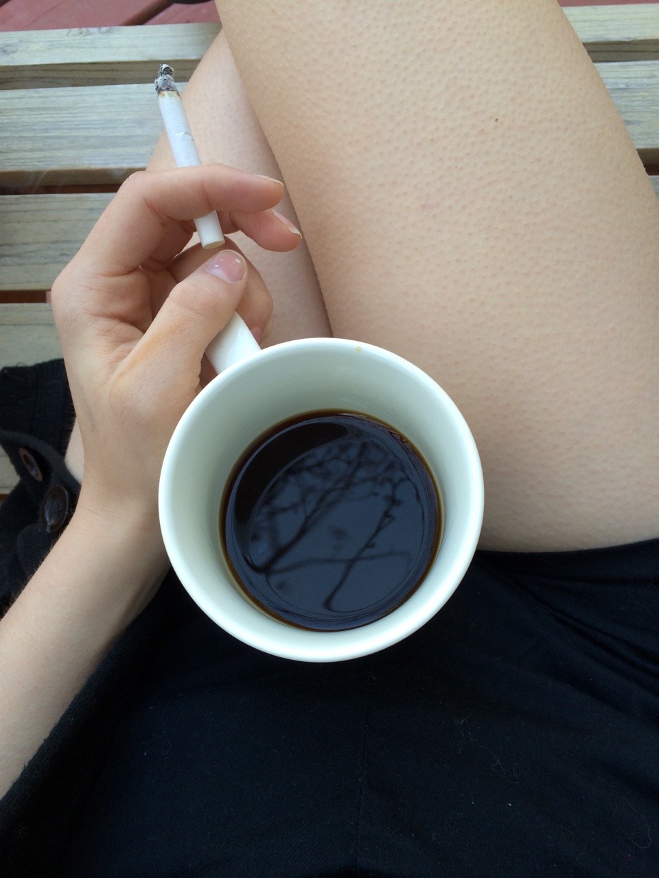 hedgielouu:  You can see the reflection trees in my coffee &amp; the lil goose