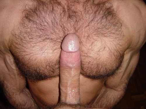 XXX hairyindianguy 44563570879 photo