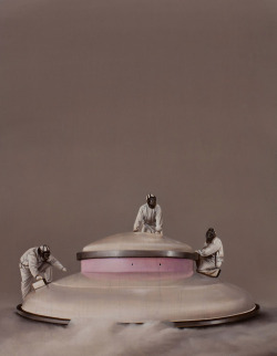 ocelott:  Painting by Sam Leach 