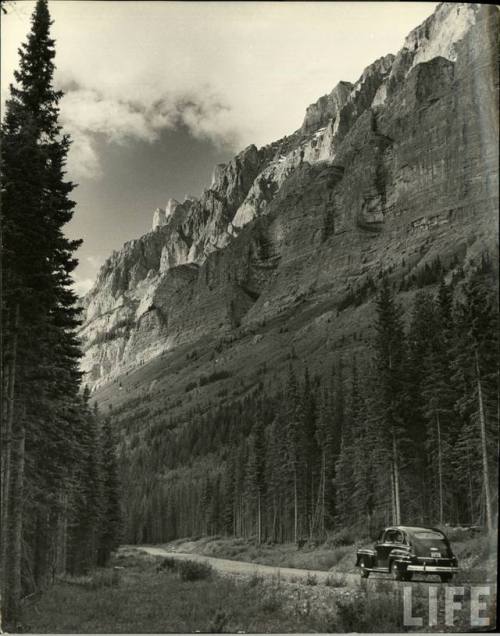 Along the Icefields Parkway(Andreas Feininger. 1946)