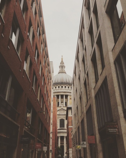 St. Paul’s Cathedral in London2015