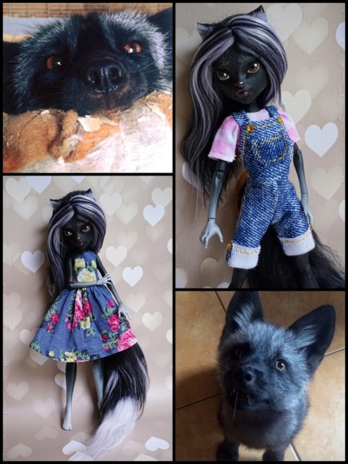 MONIQUE IS UP FOR ADOPTION!!!All funds from selling this beautiful fox lady will be given to help @G