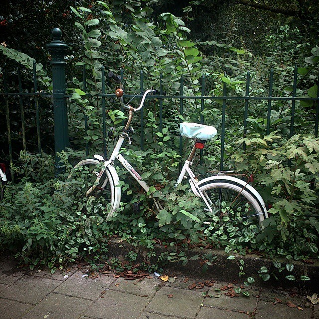 Zaboravljen I napušten #forgotten #abandoned #bicycle #amsterdam