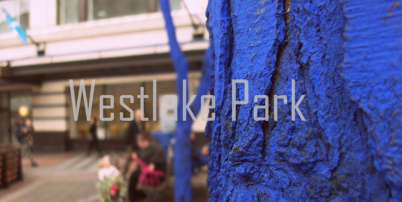 the-mircat-blog:  In and around Seattle, Washington 