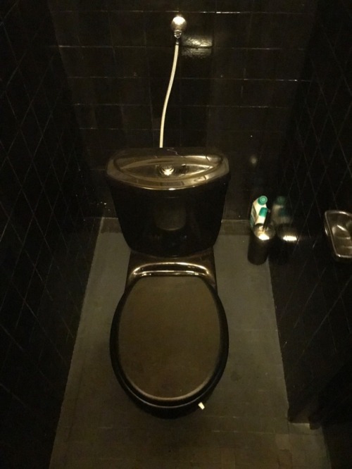 Not a urinal, but the whole idea of the mirror hallway and black unisex toilet was to good not to sh