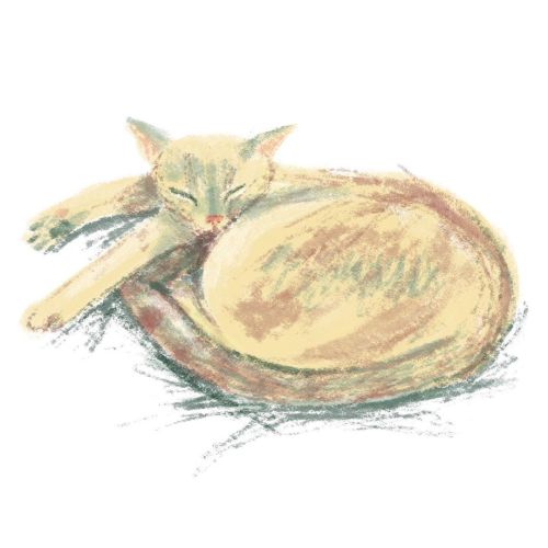 experimenting with my new @paperlike screen thing, drew a cat like you do #digitalart #sketch #catsk