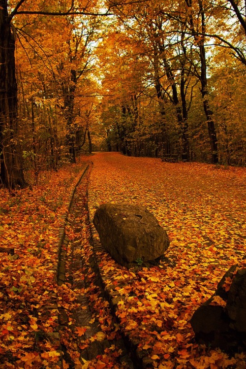 Porn Pics anessenceofautumn:  ☾Autumn Wonderland☽