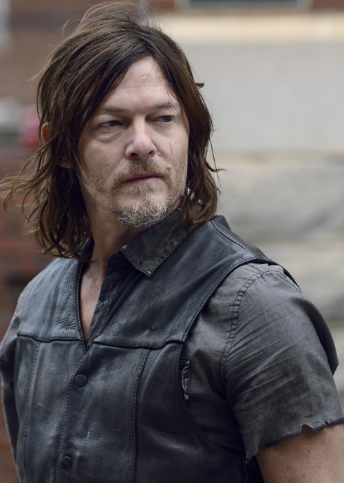 normanreedustea - Norman Reedus as Daryl Dixon | The Walking...