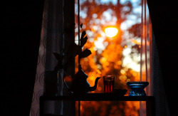 autumncozy: Autumn Dusk by aminah51