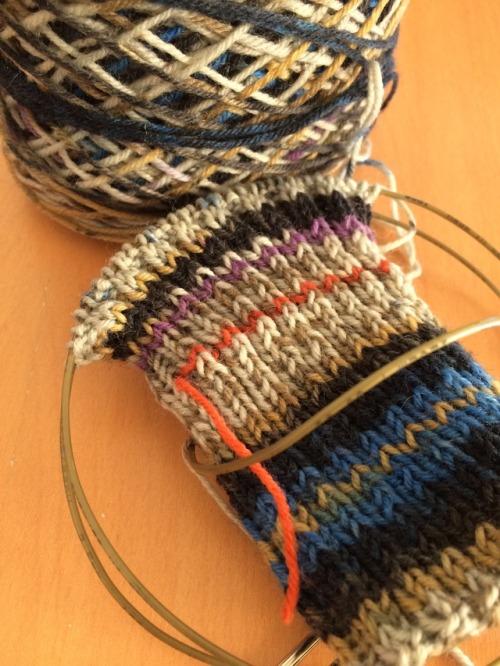 Leg Warmer