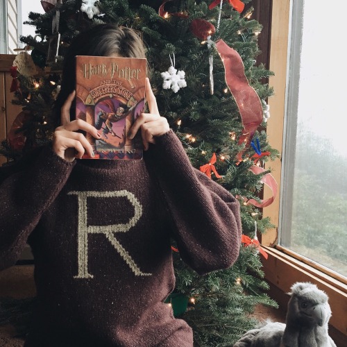 clockworkbibliophile: it’s certainly been a harry potter christmas here :’)