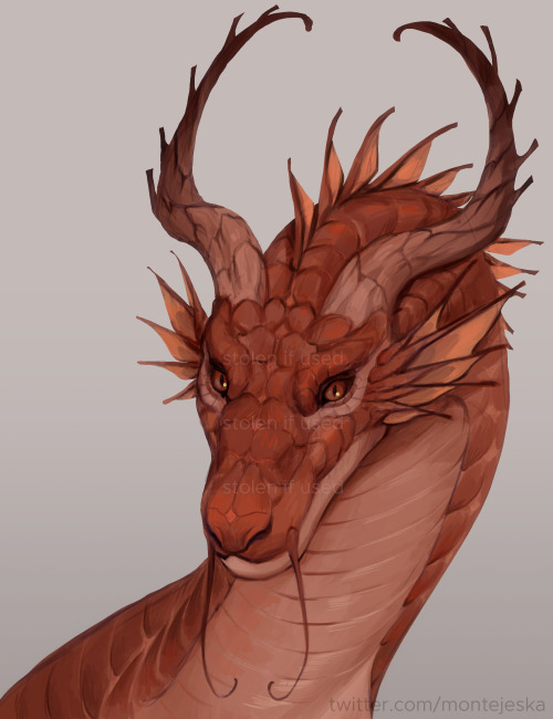 montejeska: practicework for rendering+excuse to draw scales - Do not trace, repost, or us