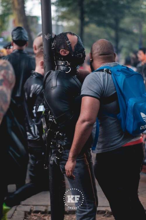 sir-erik: kfphotos: Strap to the pole. What an amazing way to keep the boi immobilized Folsom Europe