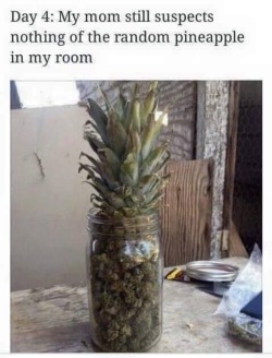 godpenis:Day 5: my son still thinks I haven’t been hitting his stash pineapple