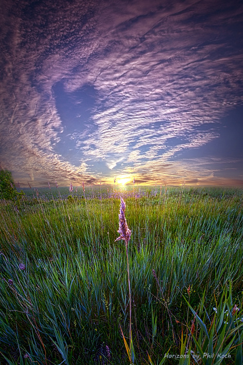 “Sanctuary”Wisconsin Horizons by Phil KochTurning natural landscapes into portraits of n