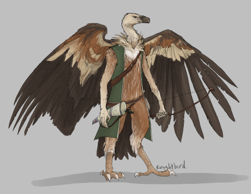 my old dnd character, Petri: an aarakocra ranger based off a griffon vulture.  He looks fairly 