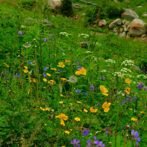 Shymbulak, Kazakhstan