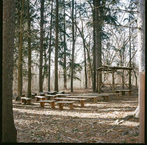 Deserted Village | Feltville, NJ, 2019