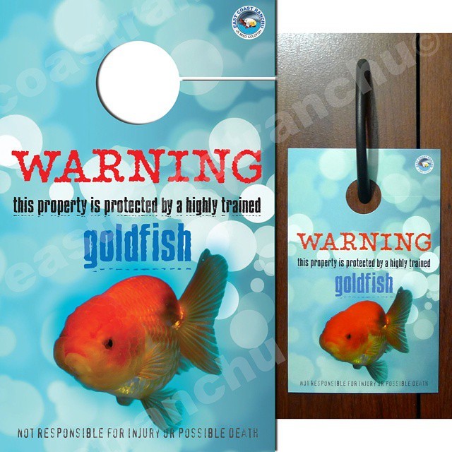eastcoastranchu:  ECR Door Hanger $2.95 This Ranchu is taking home security to the