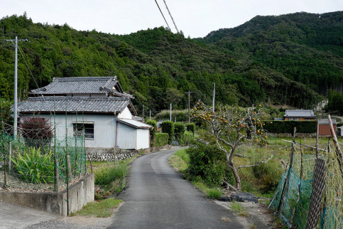 ochabang:  山里の秋 by azu_osx on Flickr. 