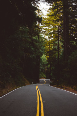 moody-nature:Road Trip Through Point Reyes