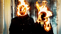 Hannibal | Coquilles