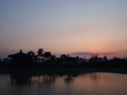 lovesouthkorea:  Hanbat Arboretum in Daejeon,