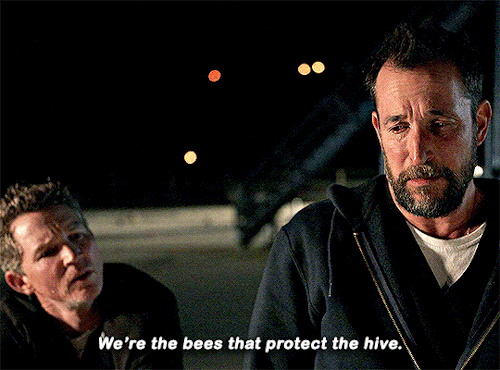 🫵 He Doesn't Want To Be The Bee That Protects The Hive