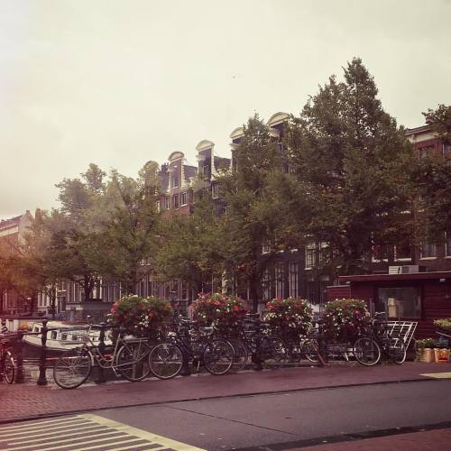 you haven’t been to amsterdam if you havent taken a generic picture of bikes, canals and facad
