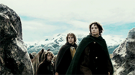 sophieturner:The Lord of the Rings: The Fellowship of the Ring (2001) dir. Peter Jackson