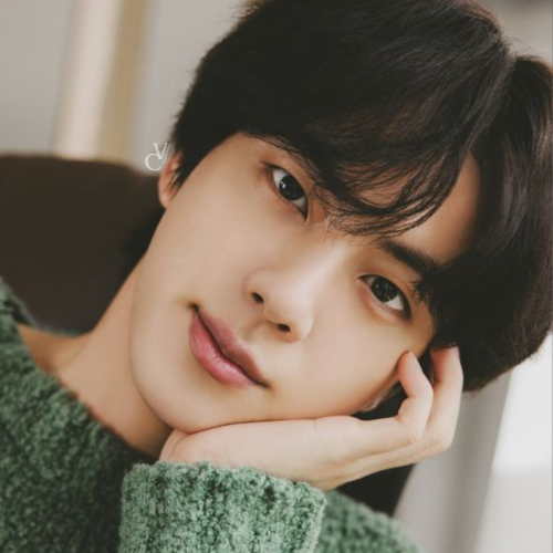 Kim Seokjin Pack.