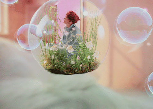 LOVE YOURSELF Answer | Concept Photo E Version