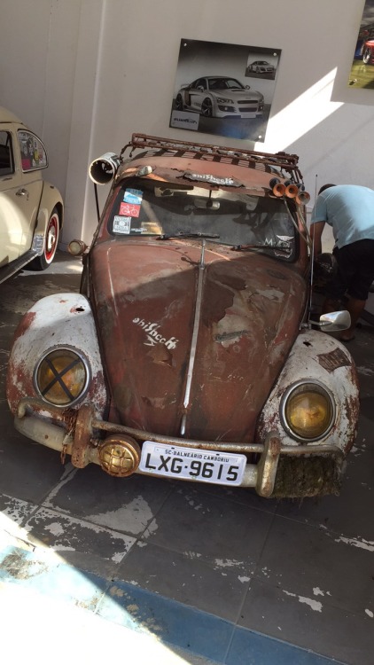 filiperocha123:Fusca rat Itapema sc