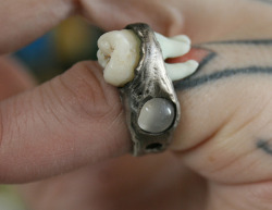 talisman:  wisdom tooth ring 