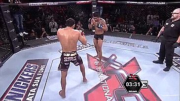 Front Kick