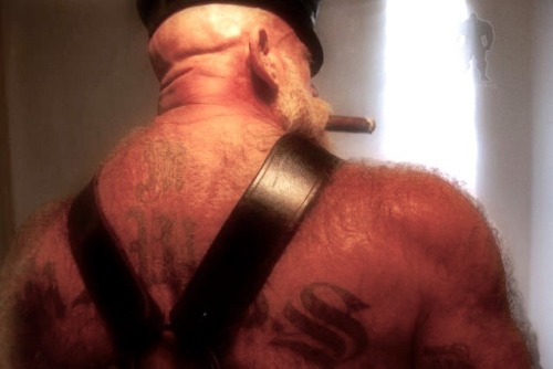 stogiepigsd:  toppigbb:  NICE FUCKIN’ FURRY BACK  Love back hair