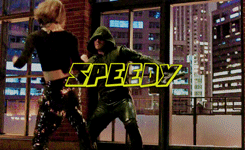  Countdown to Black Canary:↳ 3 Days to go » Black Canary’s Teammates {Arrow